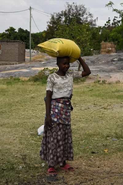 DSC_3217 (Large).JPG